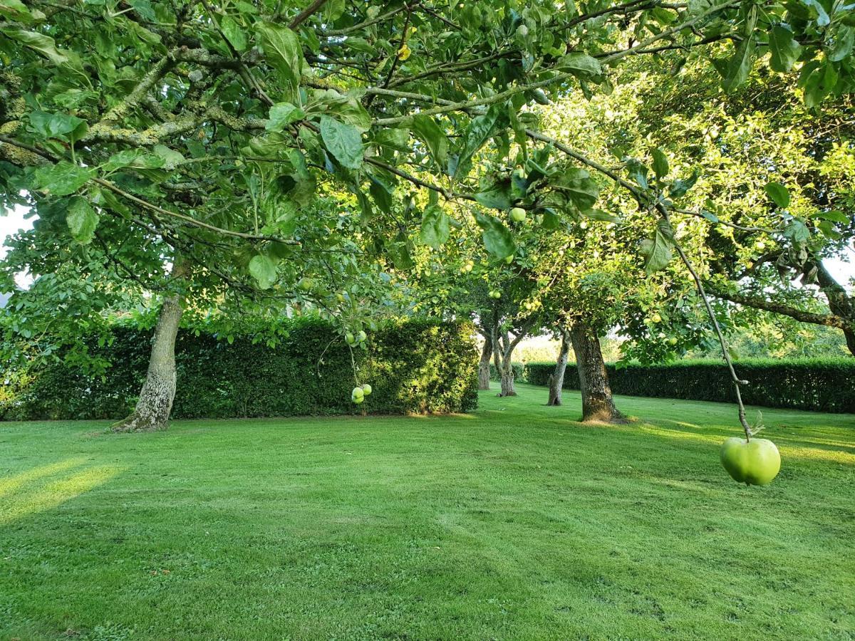 Solbjerg Skov B&B Exteriör bild